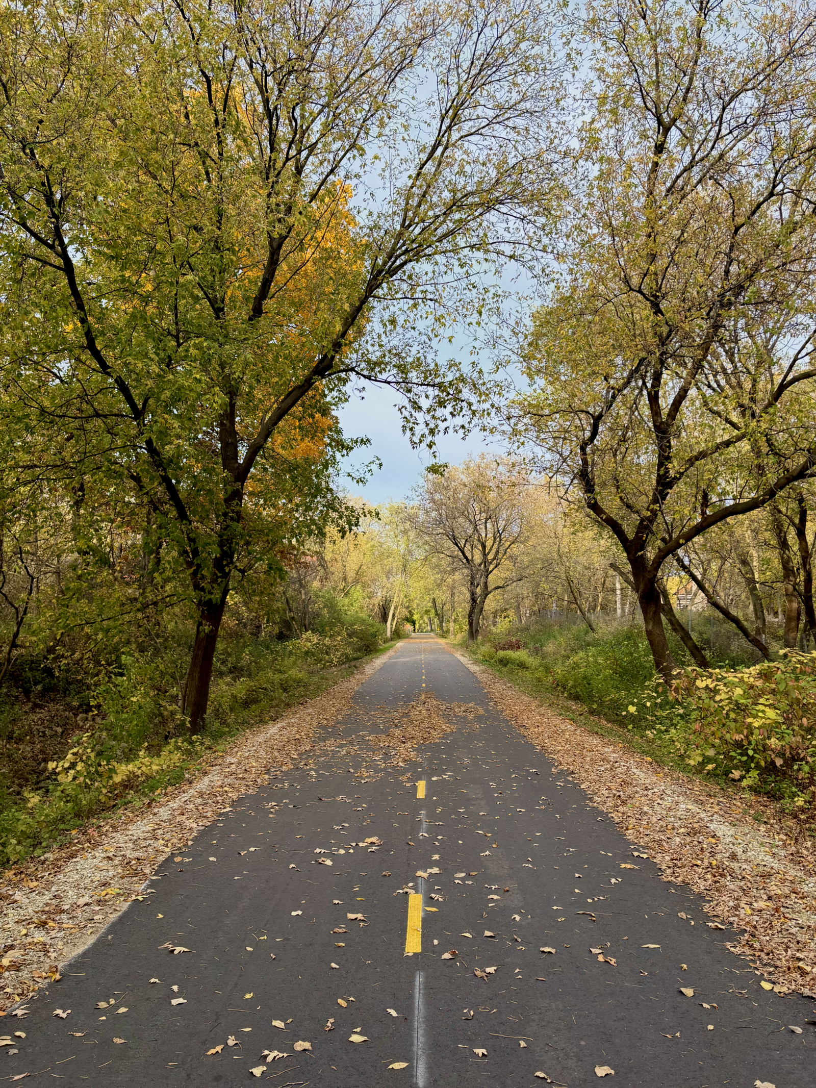 fox river trail in fall